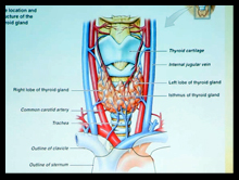 Nuclear Medicine Thyroid imaging